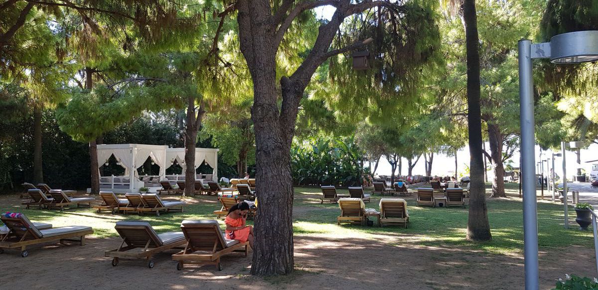 imagini hotel BARUT HEMERA